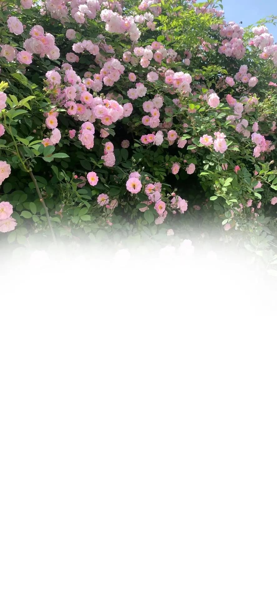 渐变聊天背景,渐变色聊天背景图教程