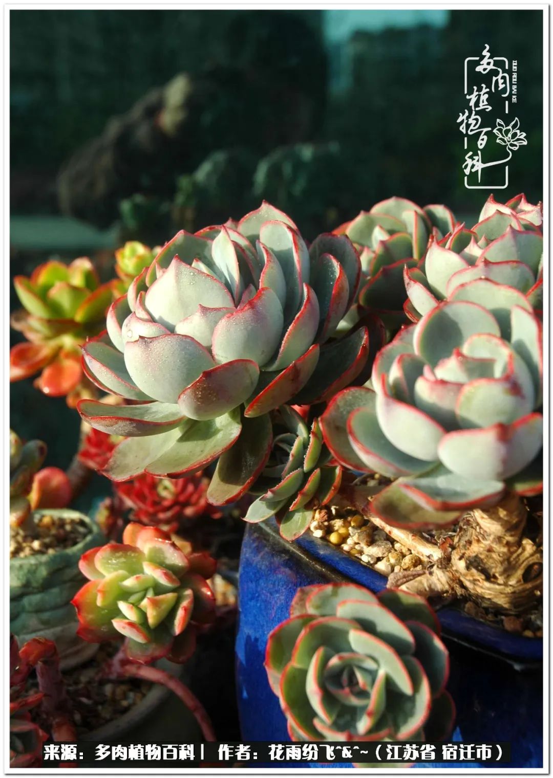 回味童年无忧无虑的快乐时光,童年最快乐的时光