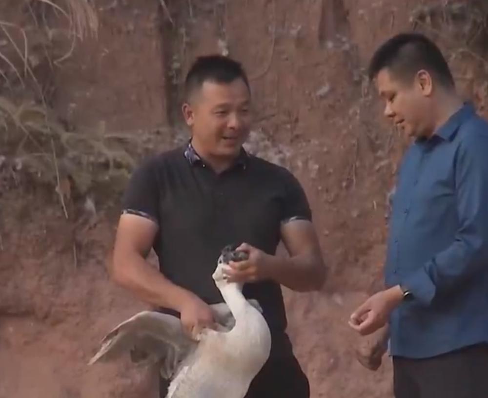 80后农民哥创业种植沃柑,如何卖沃柑一年赚一千万