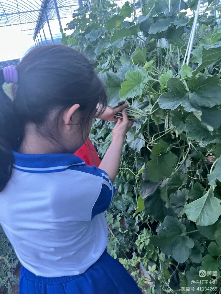 平安淮滨新变化丨淮滨县栏杆街道:喜迎二十大,夸夸我的家乡王湾新变化