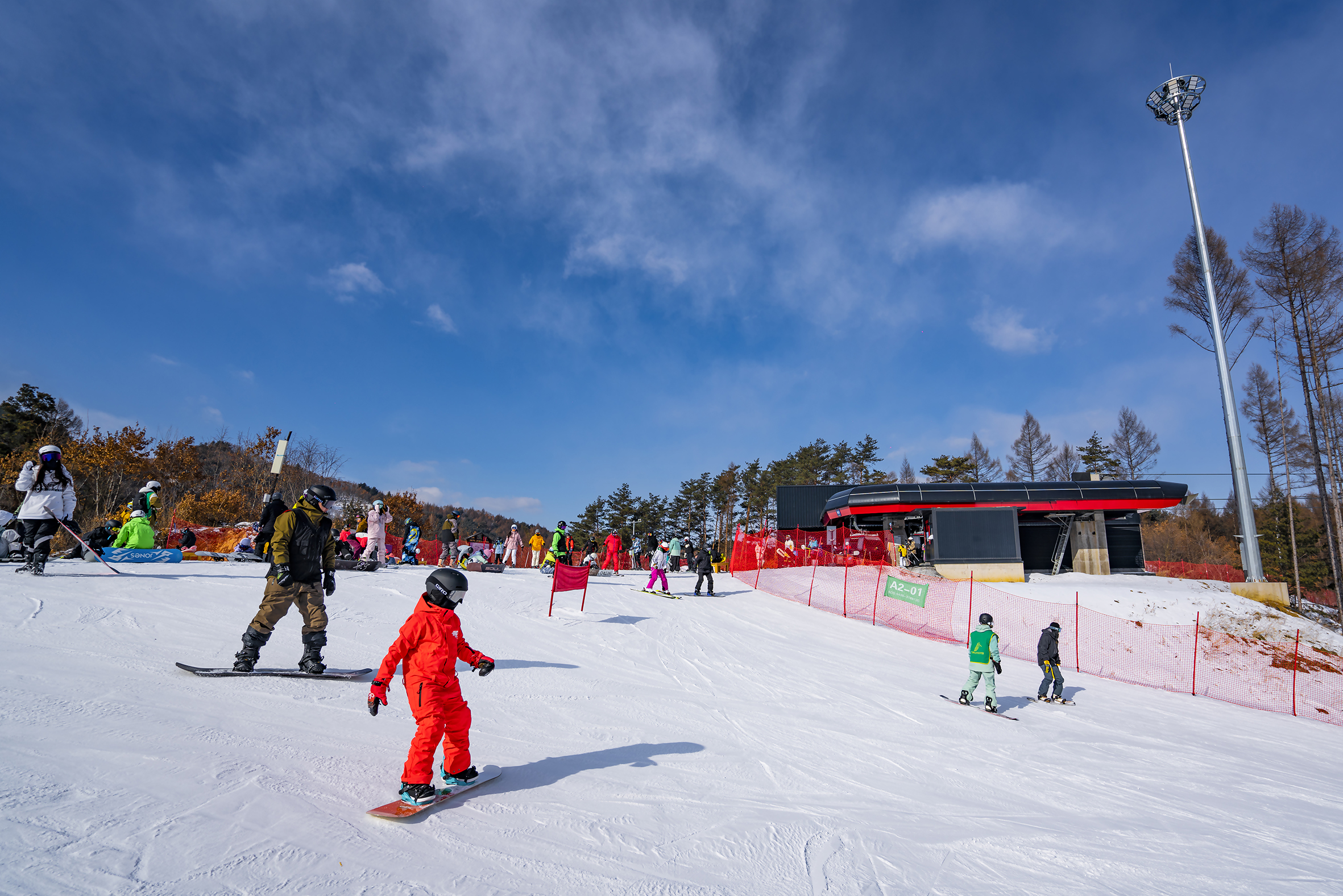 万峰通化滑雪度假区开板时间,通化万峰滑雪度假区种的什么树