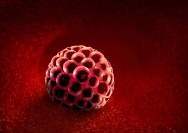 吃dhea会正常排卵吗,吃dhea会导致月经变少吗