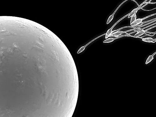 试管婴儿常识100例,试管精子是怎么优化处理的