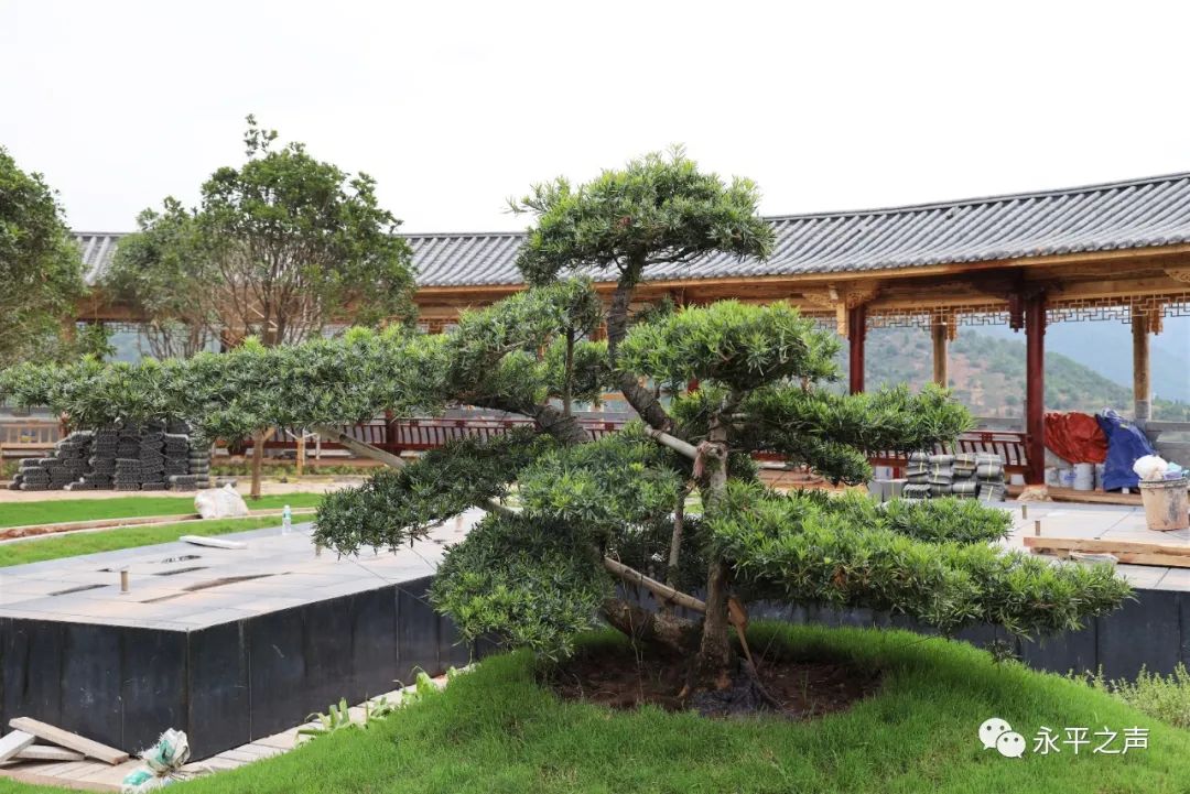 「我们的新时代」永平：组建工作专班，博南工业（物流）园区建设跑出加速度