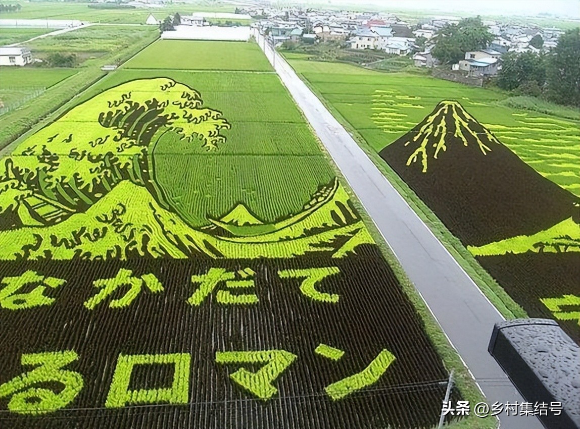 新西兰吉布斯农场——当农业与艺术开始跨界合作，会出现?