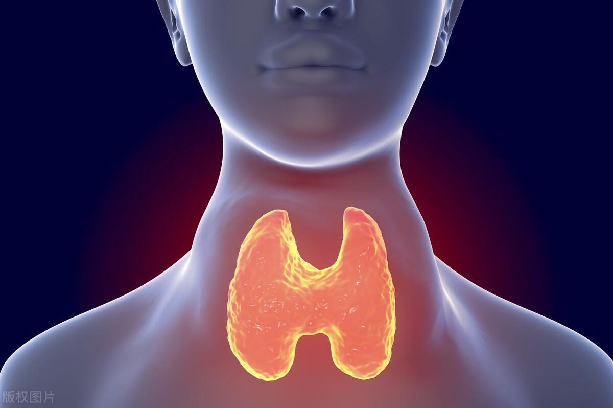 喝酒三十年喝出河马脖,辽宁大叔喝酒40年喝成河马脖子