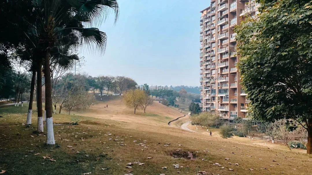 熊猫基地扩建区,熊猫基地最新扩建范围