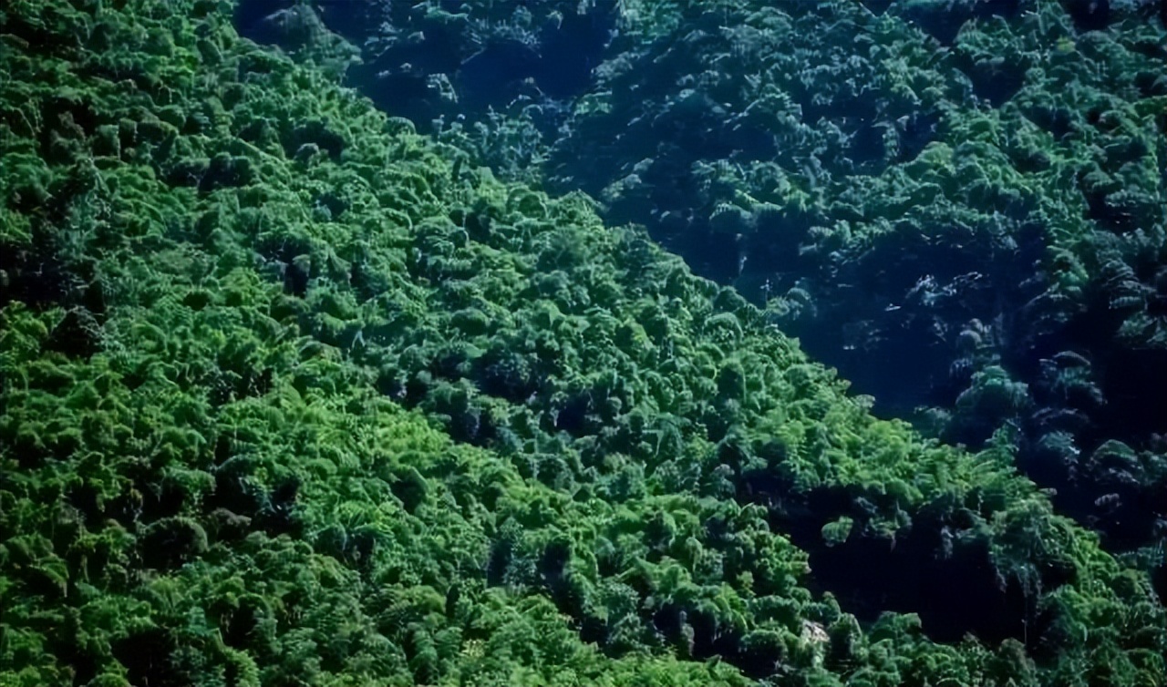 邛崃川西竹海攻略,邛崃竹海徒步攻略