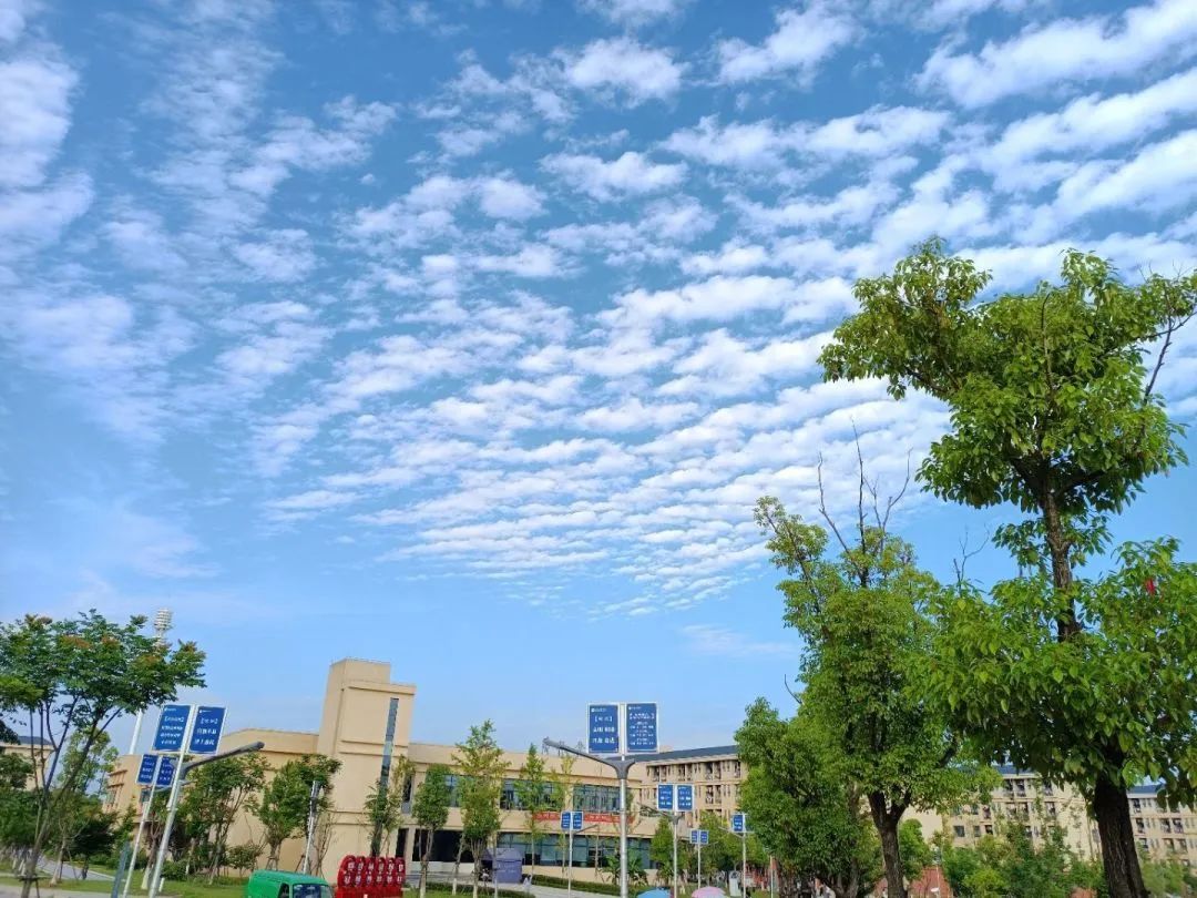 景德镇学院什么专业好,景德镇艺术学院王牌专业