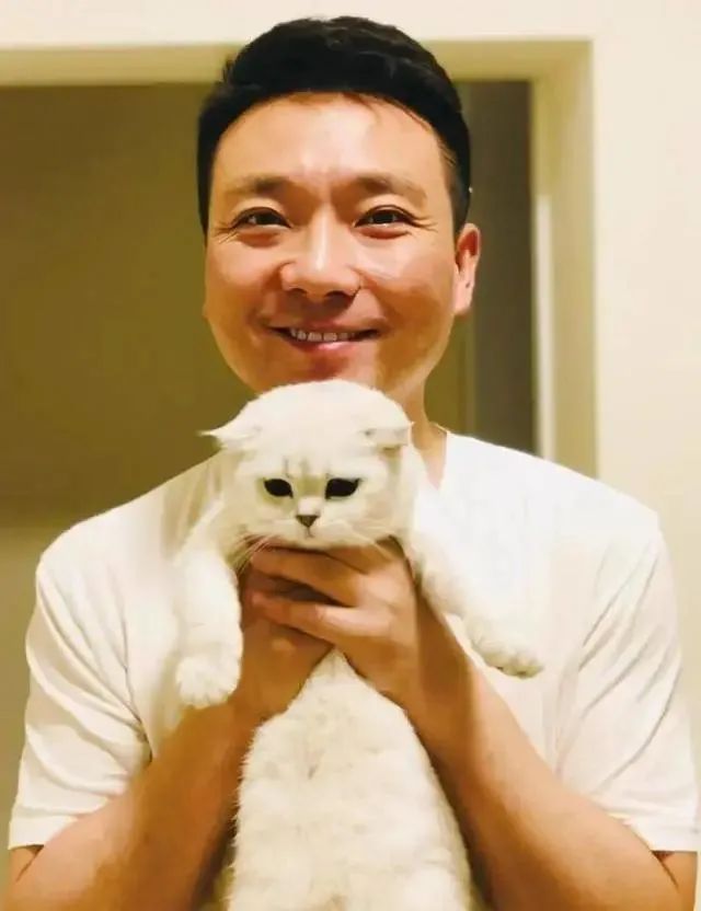 康辉后悔丁克吗,康辉谈后悔丁克视频