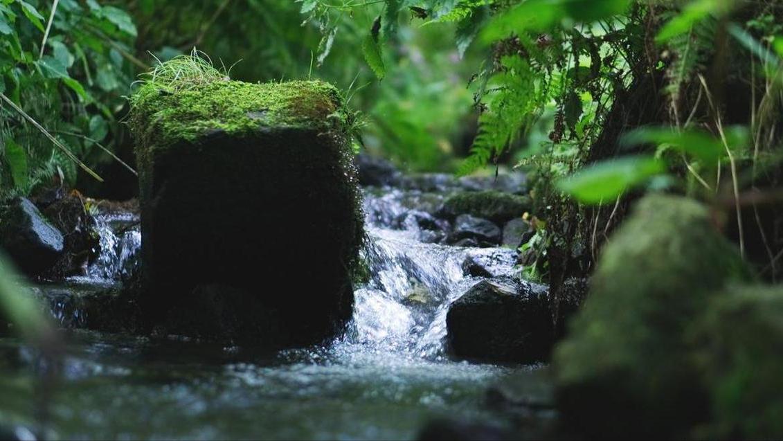*光春**轻轻地锁住了我和你
