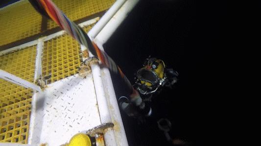 饱和潜水的饱和什么意思,饱和潜水深度什么意思