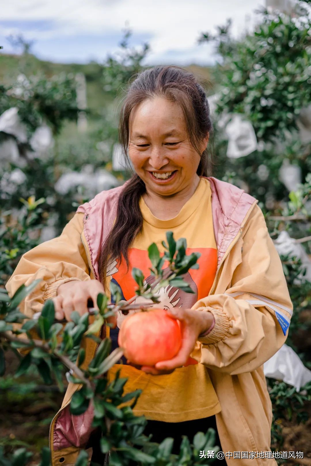 大山深处有哪些秘密,大山里的秘密是哪里的