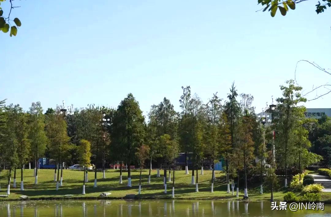 虹消雨霁斗转星移,虹销雨霁