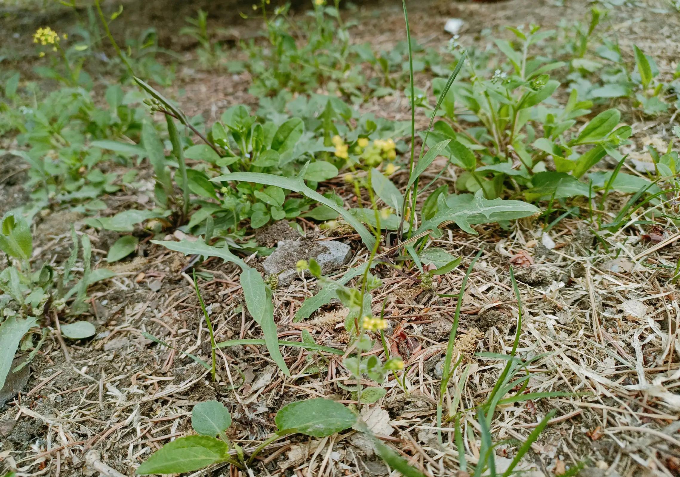 带孩子去自然博物馆看昆虫,带小朋友到大自然看昆虫