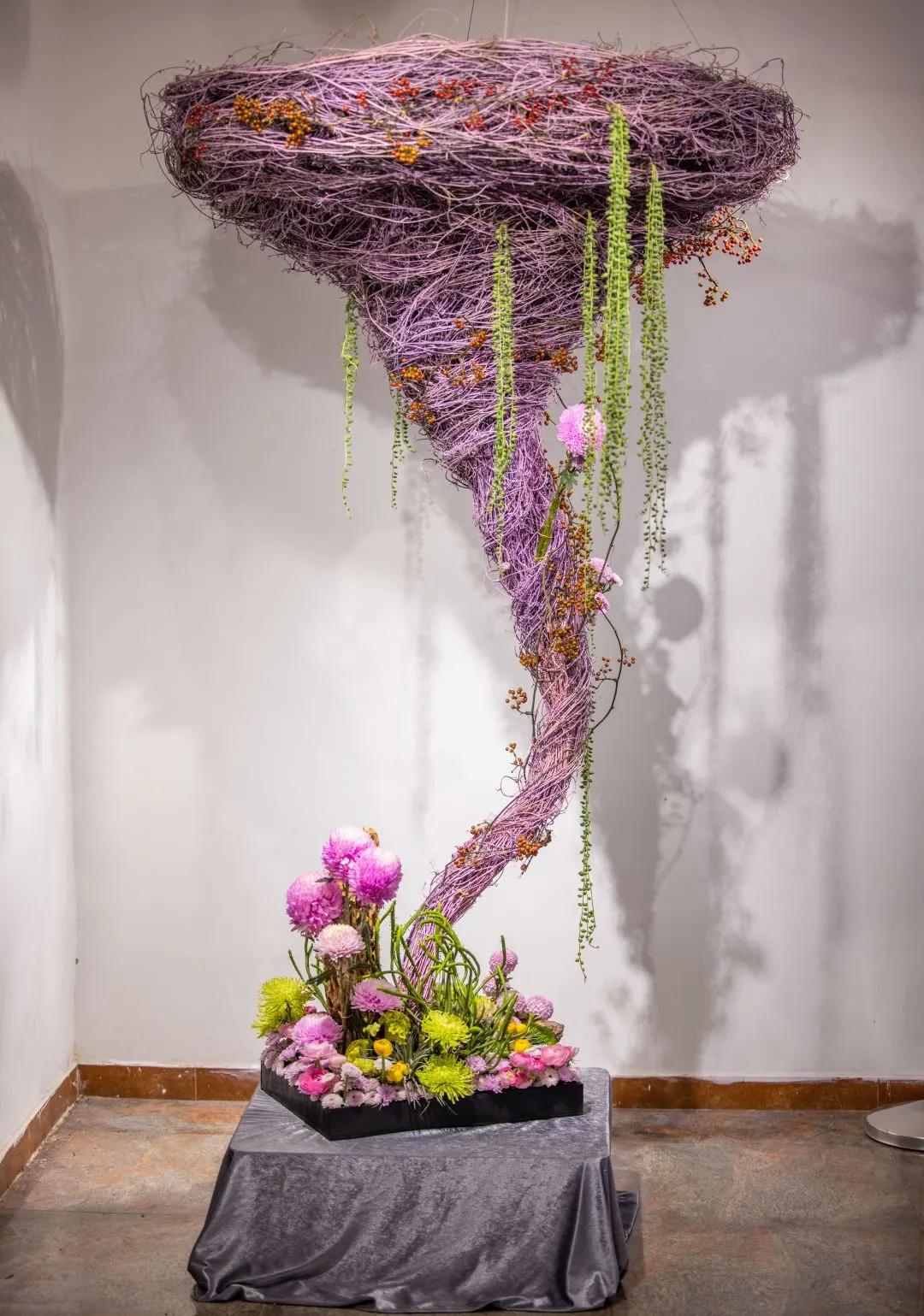 66万盆菊花东湖公园菊花展,东湖公园菊花展有哪些菊花