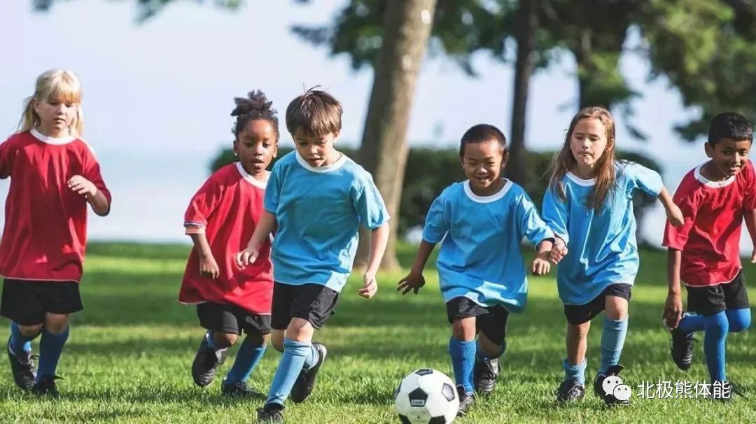 孩子不走专业路线不用那么认真,孩子成为专业运动员有必要吗