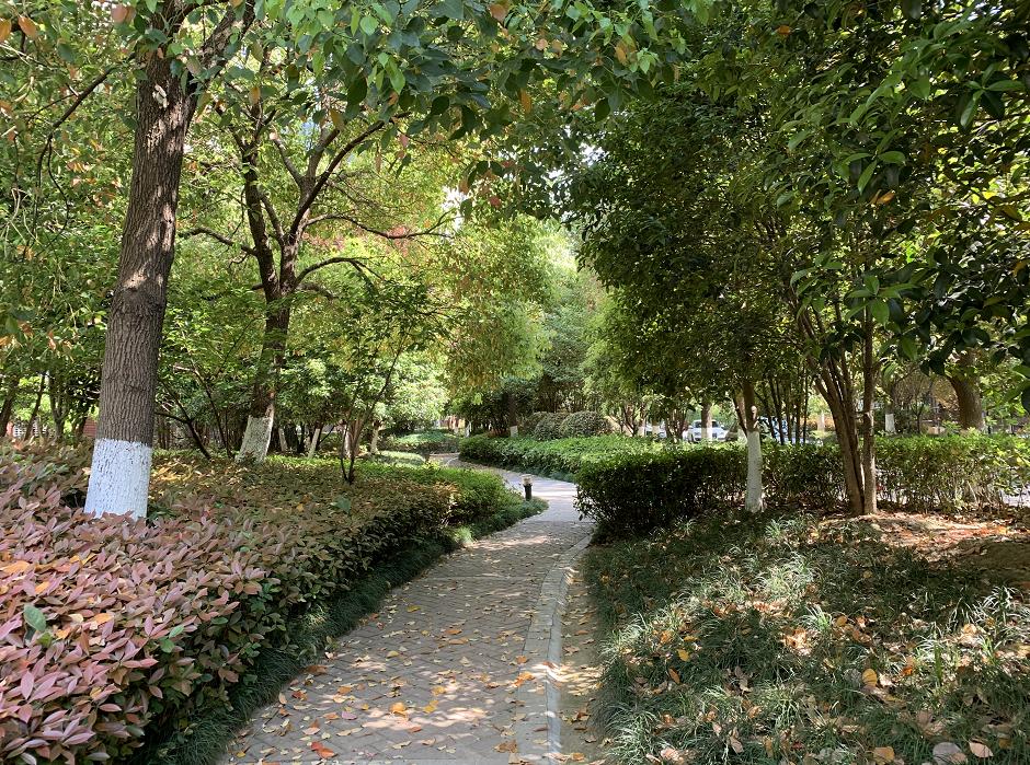 歇火！0成交！这种房子也太难了！