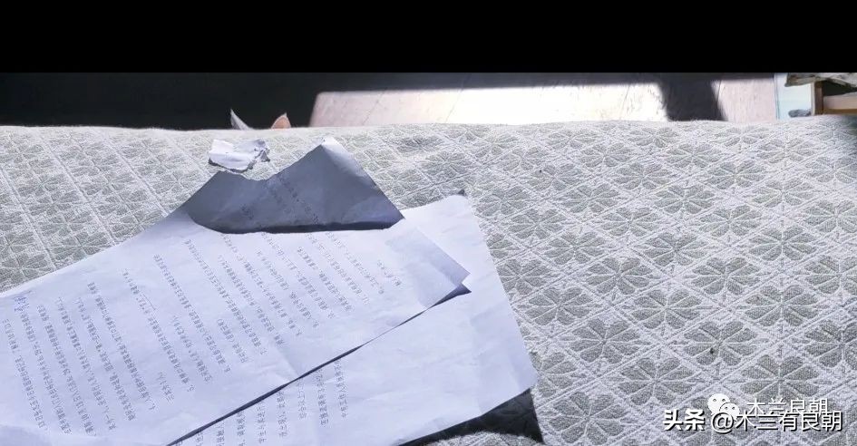 这回这妖精是真的要拆家了