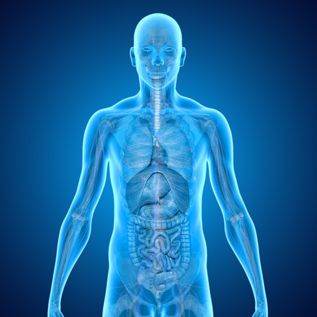 医院截肢最新消息,截肢掉的部位都去哪了