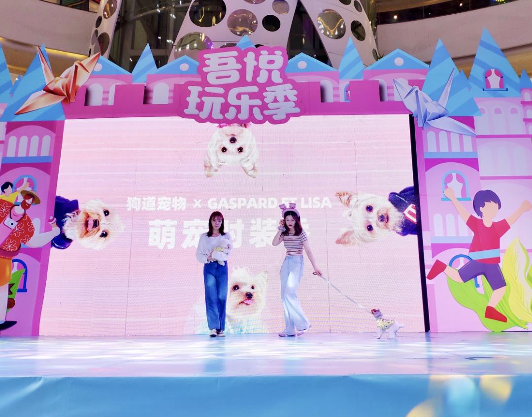 狗道宠物dogway上海店,专访doggo