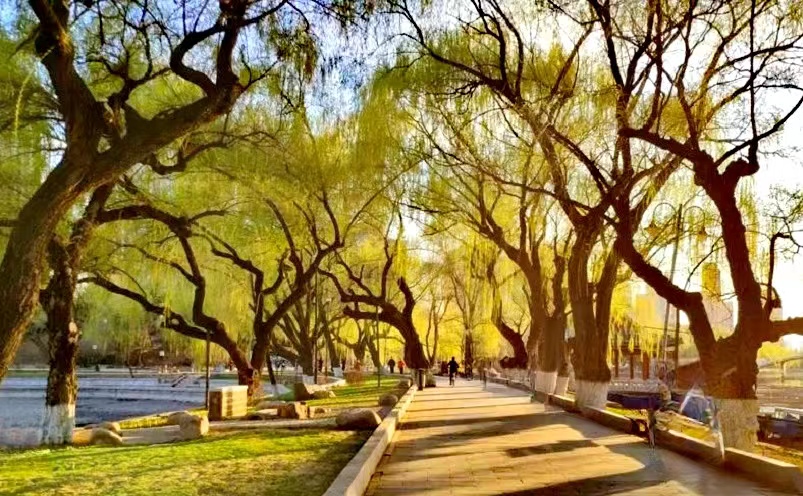 沈阳攻略必去的十大景点推荐,沈阳旅游必去十大景点推荐图片