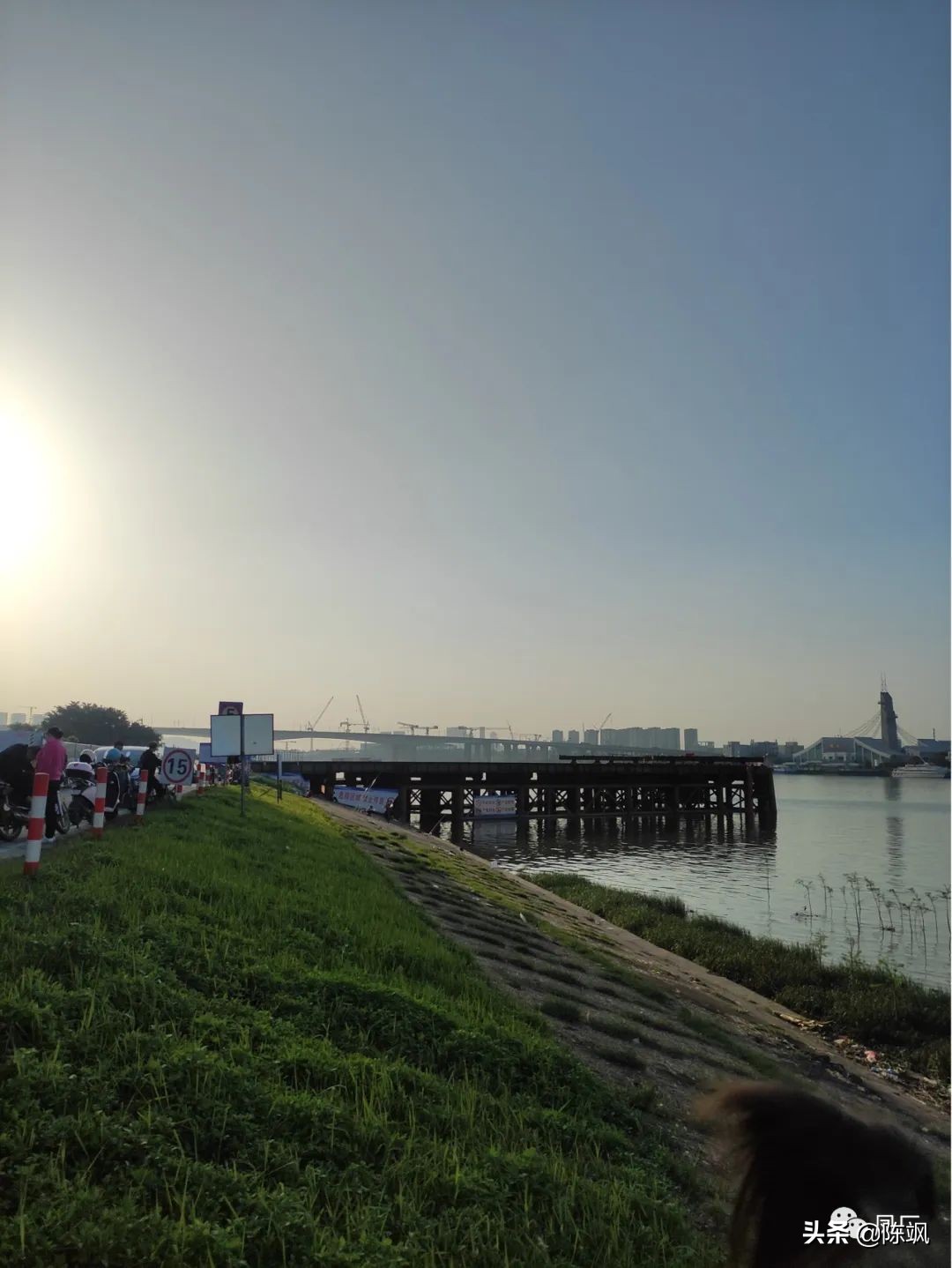 容桂凤凰湾社区,容桂凤凰湾简介