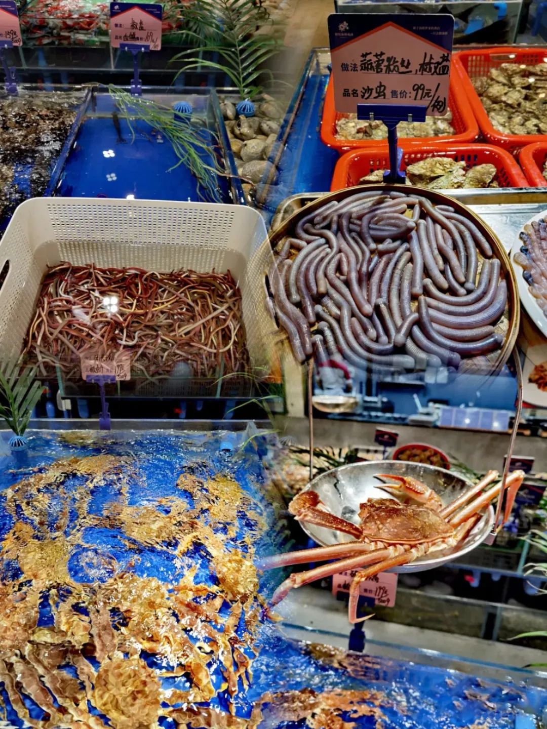 湛江、汕头之外，广东另一个被遗忘的美食之城