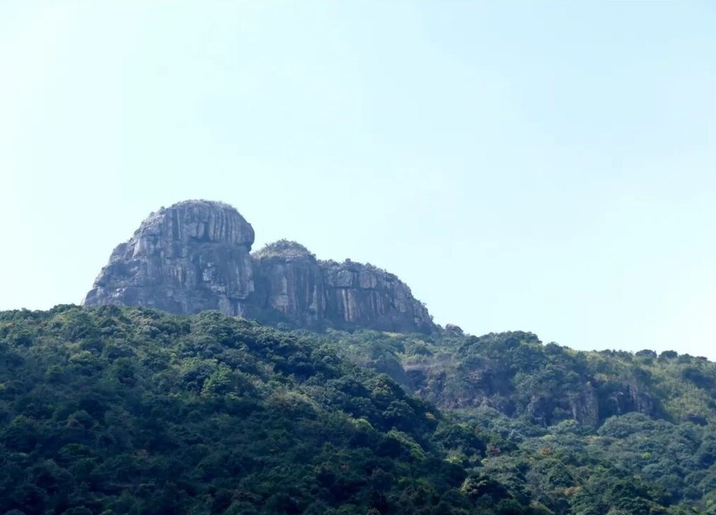 刚开始入坑感觉哪里都怪怪的,入坑了请问有什么需要注意的吗