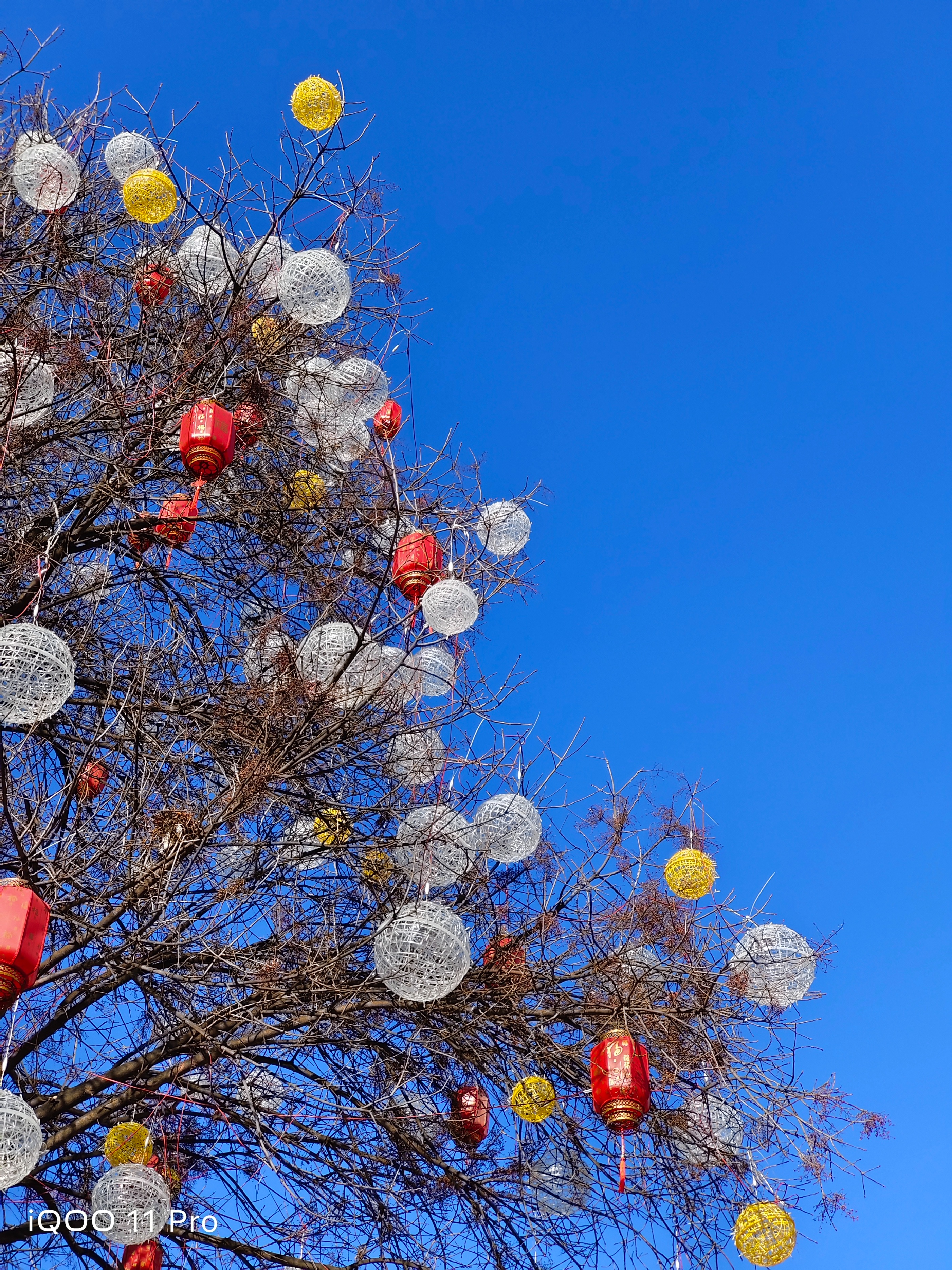 iqoo11pro评测,iqoo11pro深度测评是哪家的