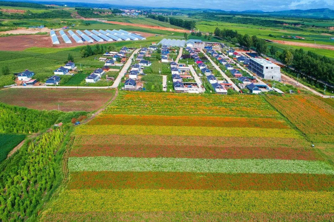 最新名单公示！14家单位上榜！