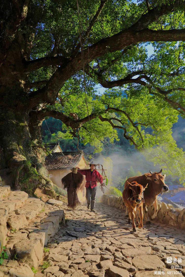 画意风光,画意风光摄影