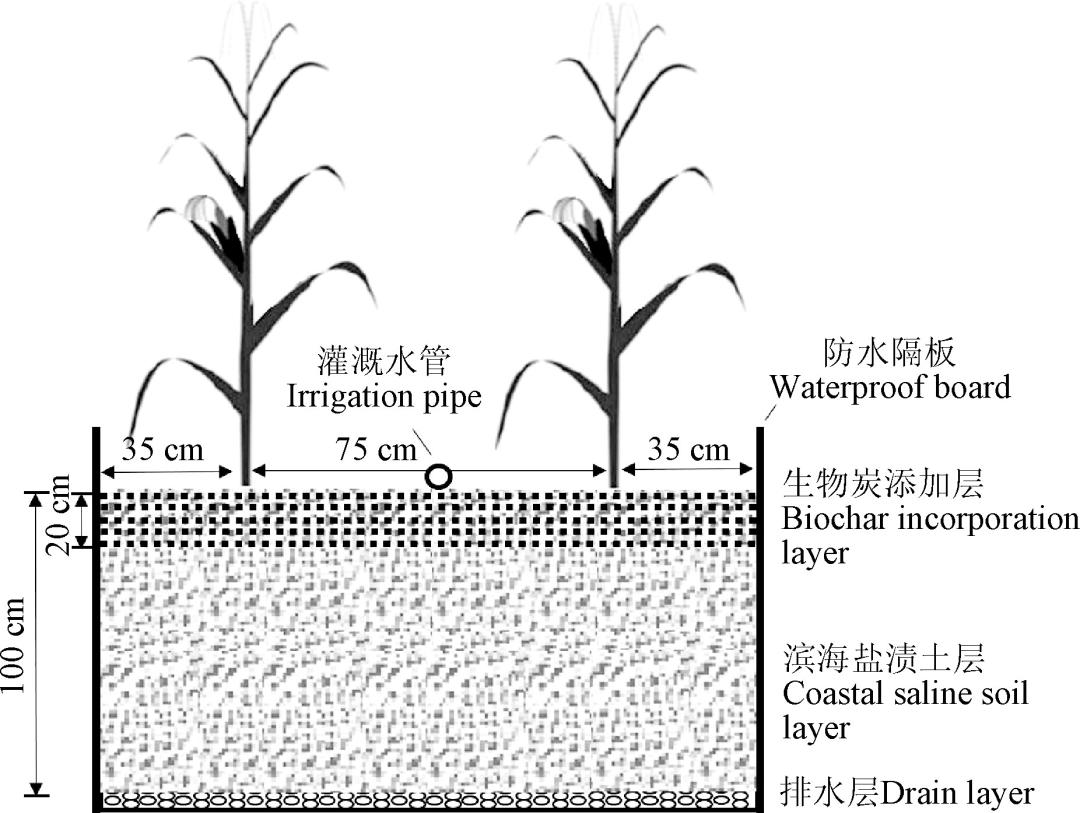 微咸水开发利用情况汇报,反渗透水处理数据分析