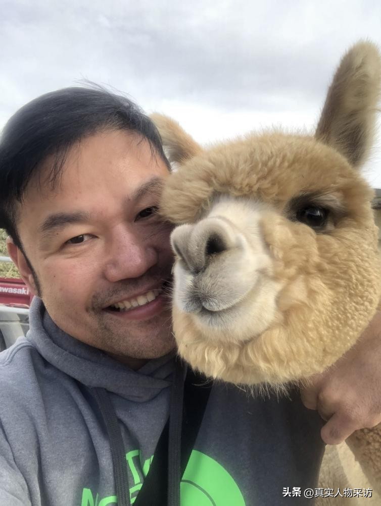 我，36岁财务自由，在美国豪横买庄园买山，还买个农场养羊驼玩