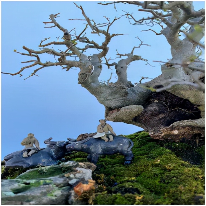 大美花都,广州花都竹洞村美景