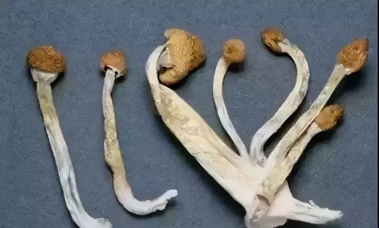 这几种东西能不买尽量别买,千万别买的几个日用品你中招了吗