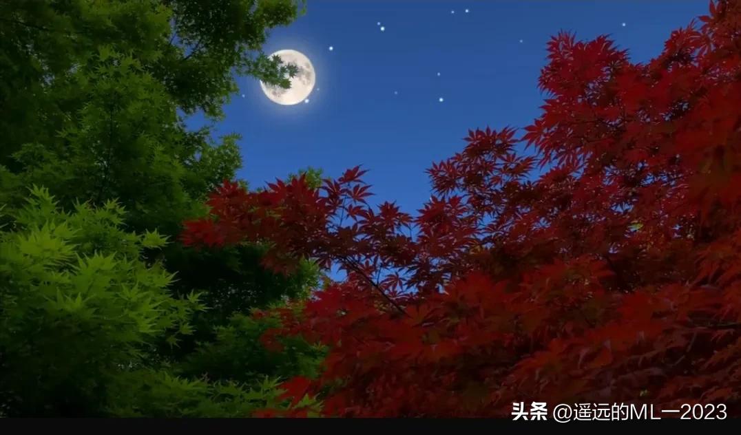 写在父亲三周年忌日的话,三周年祭日的纸怎么写