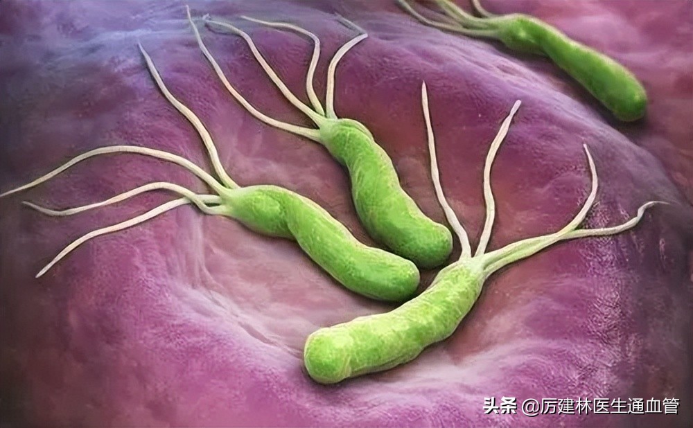 宝塔糖除了除虫还可以干嘛,宝塔糖除虫的药七十年代