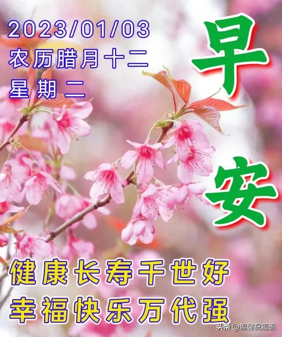 最新早安温馨祝福语美图大全,1月3日早安图片
