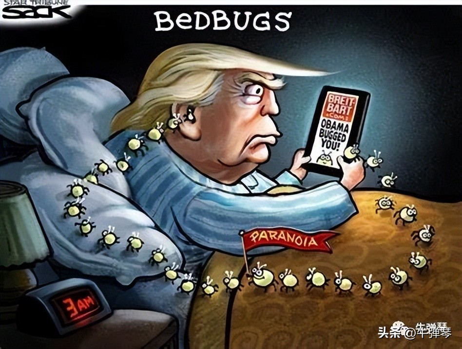 8月24日世界发生的大事,2001年9月11日世界发生了什么大事