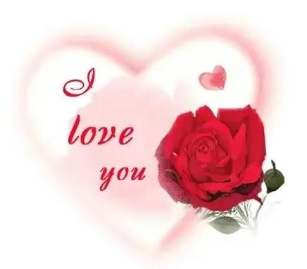 520送你最美的玫瑰花,520把最美的祝福送给幸福的你