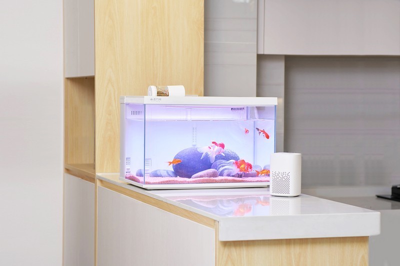 一款真·智能·慵懒化养鱼的神奇鱼缸