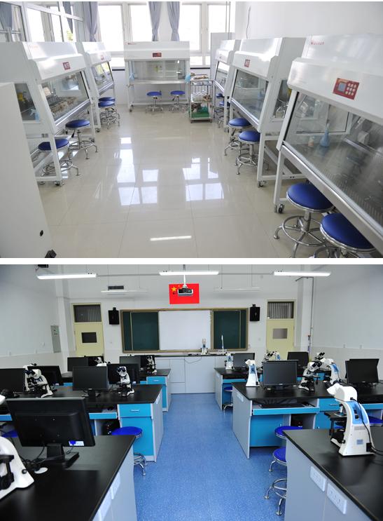 北京第十四中学高中部升学率,北京市第十四中学