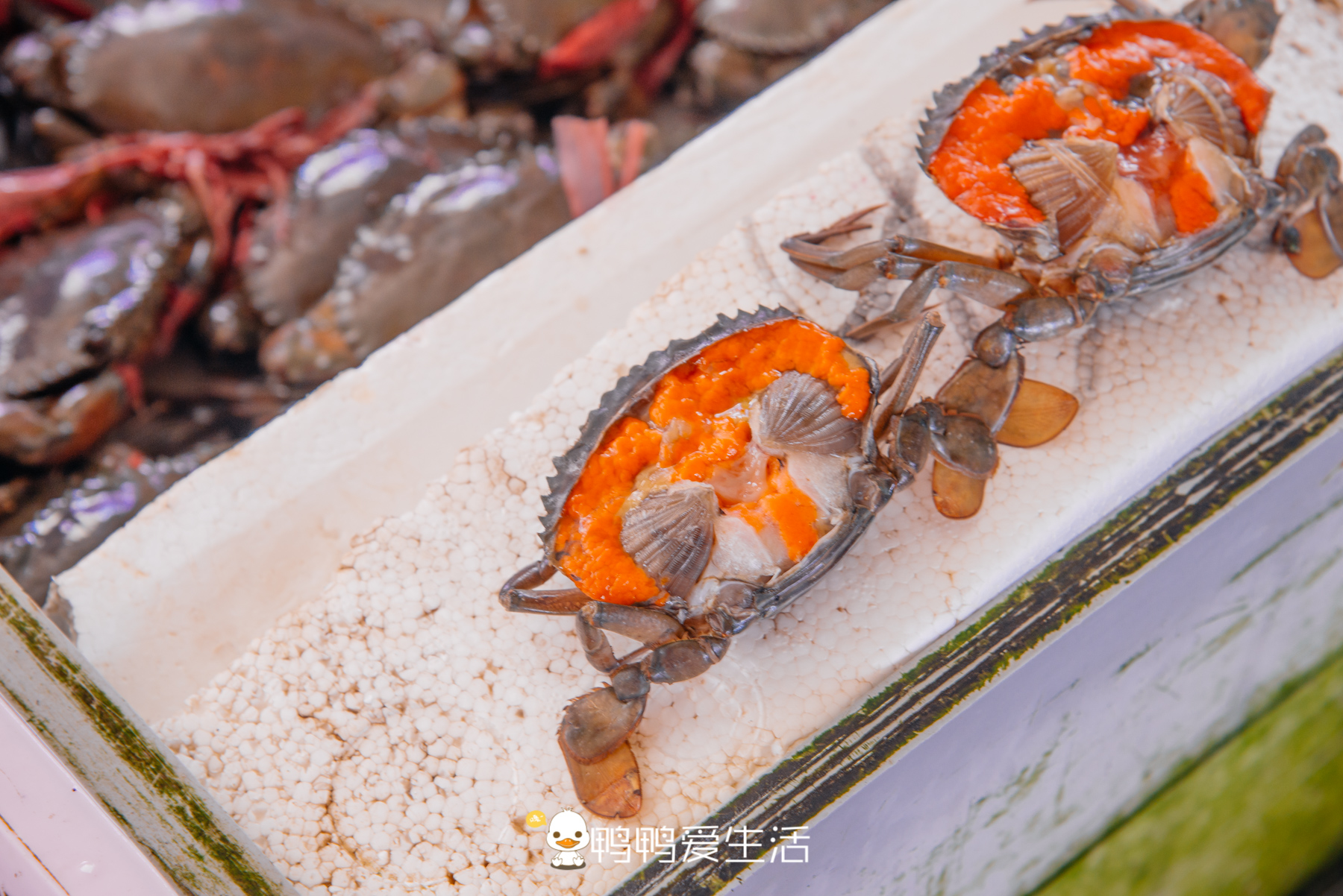 南沙十九涌渔人码头路边海鲜,广州十九涌海鲜码头