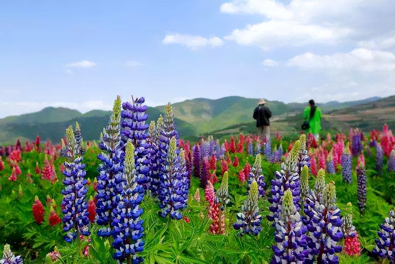 只赚不赔的投资坑,只赚不赔的投资是骗人的吗