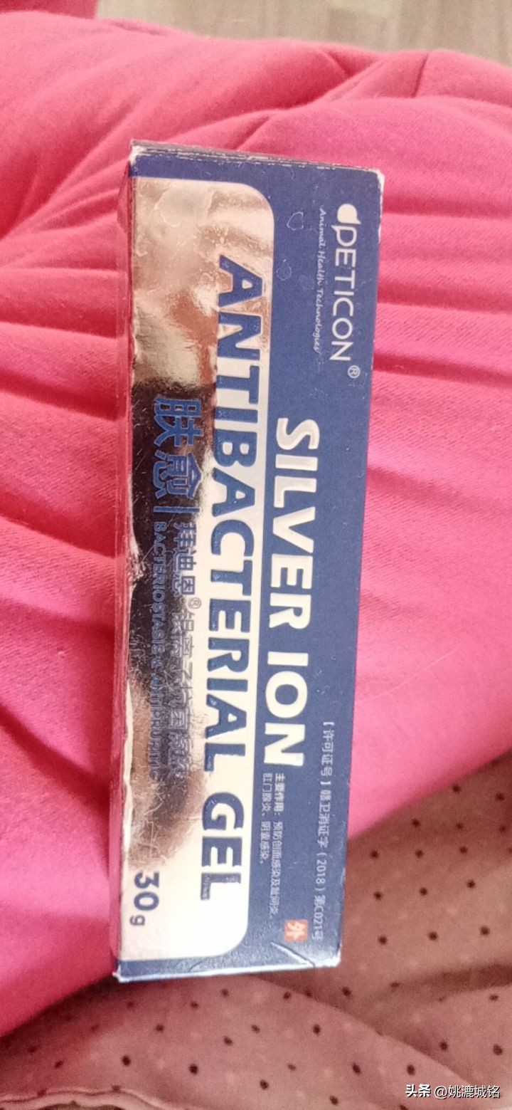 猫乳腺破溃,猫的肛门腺破溃怎么治疗