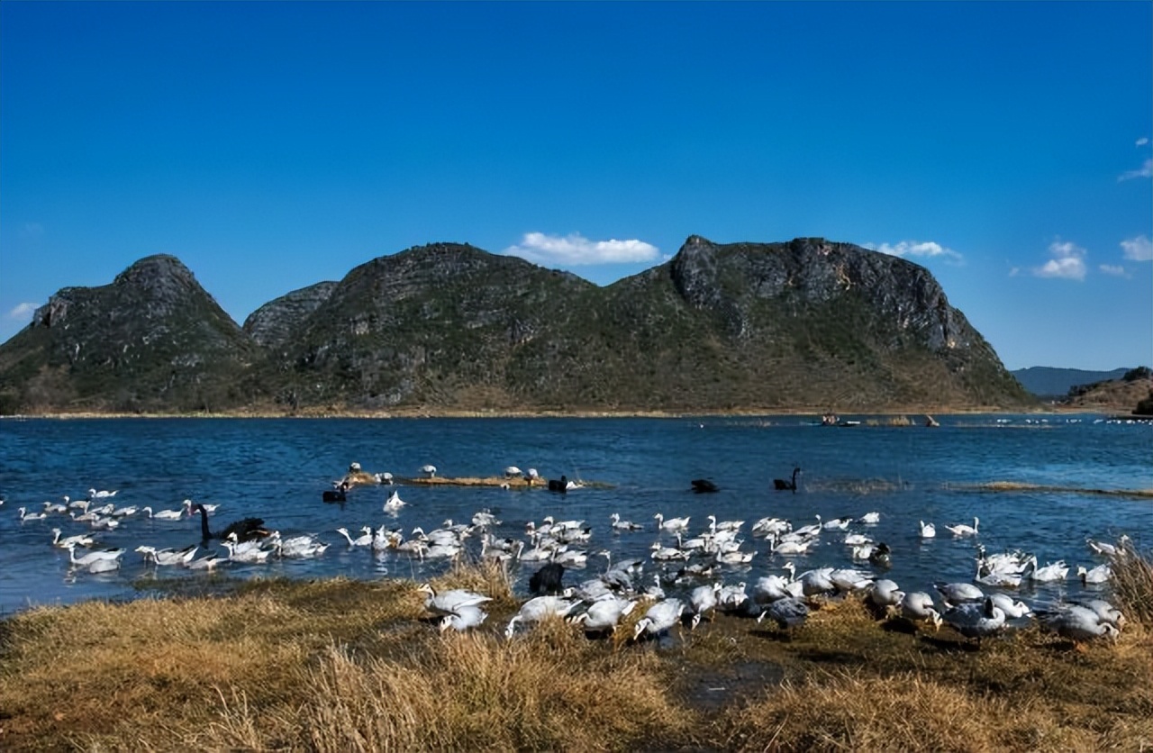 普者黑省旅游景点全攻略,普者黑风景区一天游玩攻略