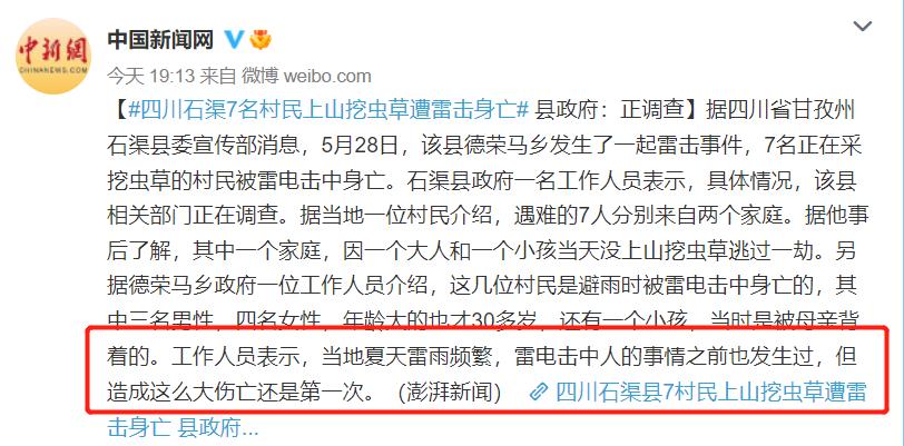 挖虫草遭雷击身亡,挖虫草被雷击的图片