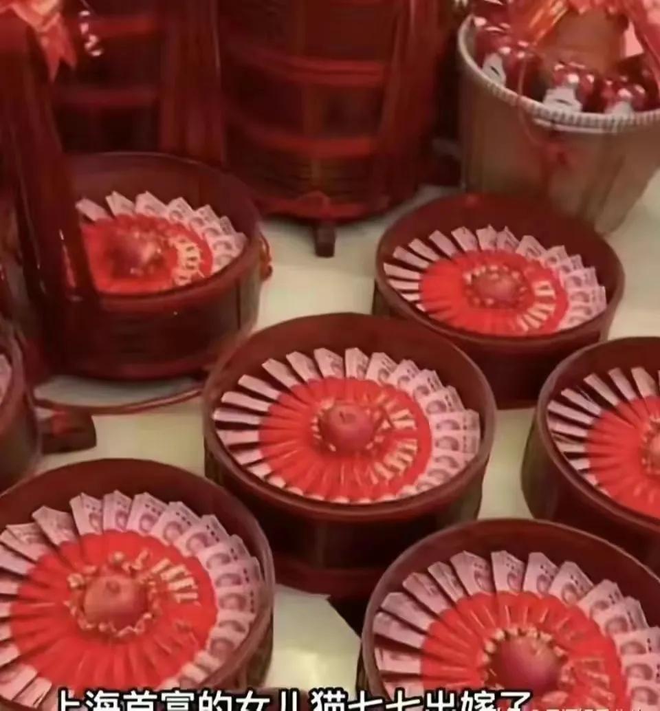 网红猫七七结婚,网红猫七七和小男友是真爱吗