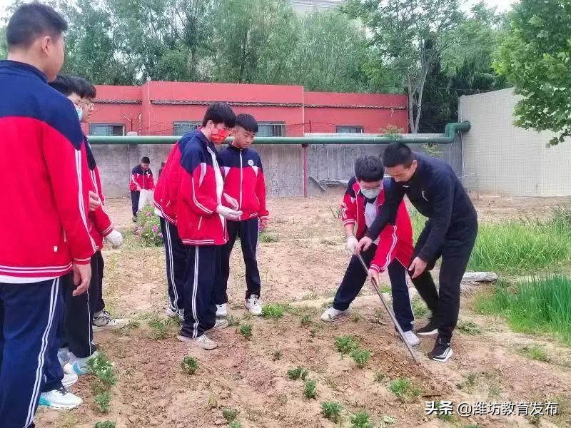 潍坊校园新闻联播,周播报